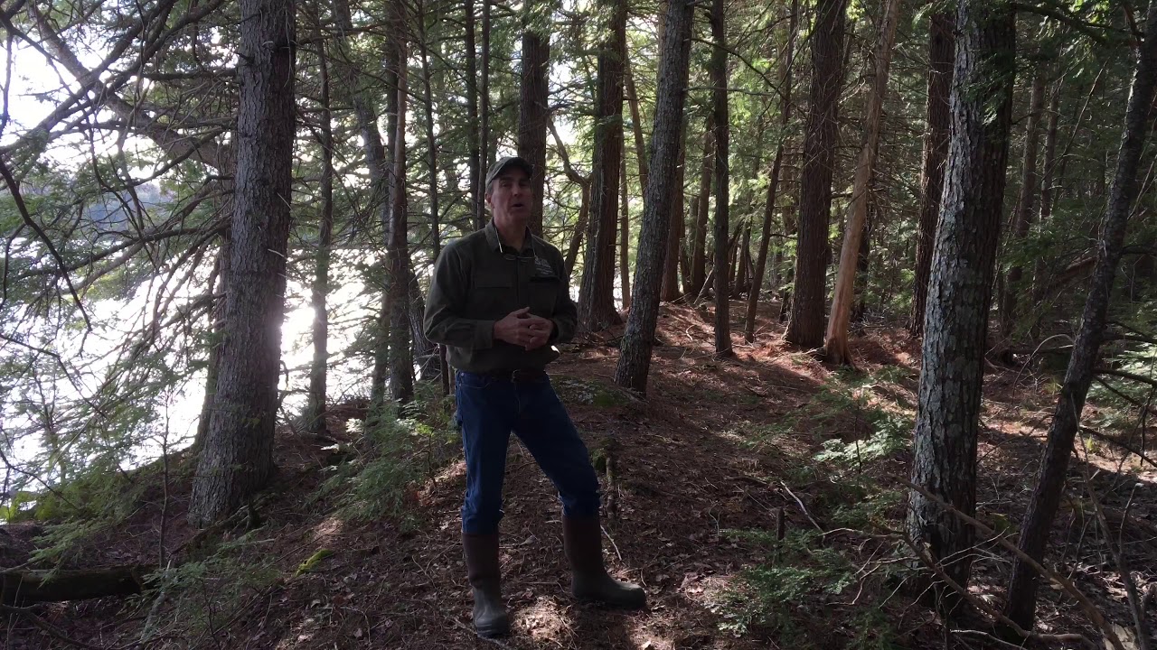 Horseshoe Lake Lakeville, Maine Land For Sale Maine Real Estate YouTube