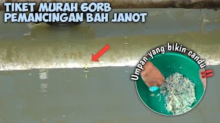 Download Lagu UMPANNYA NYEH-NYOH, ESSEN PICUNG MENGGODA IKAN MP3