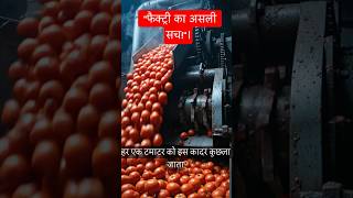 क्या आप जानते हैं फैक्ट्री में केचप कैसे बनता है? 🍅 | The Dark Secret of Ketchup! #facts #shorts