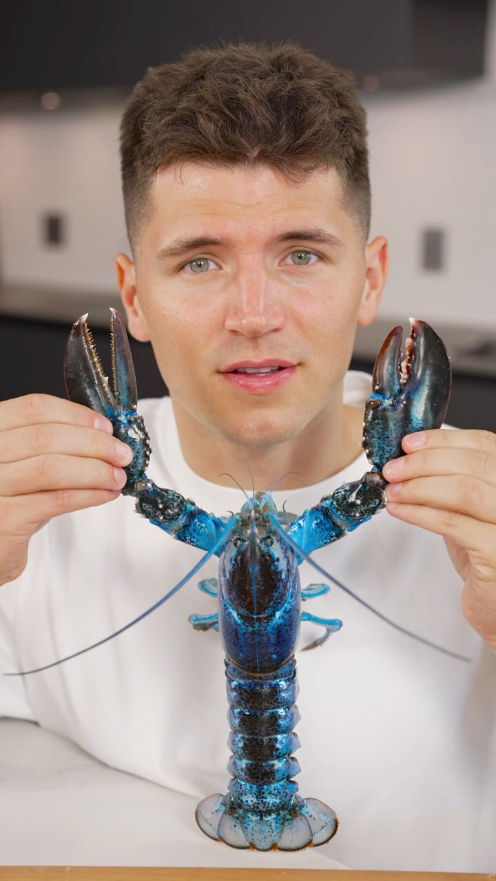 How To Cook Blue Lobster