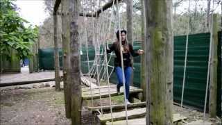 Grupos Organizados - Intro