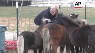 Two miniature horses named Mystery and Lunar are bringing comfort and joy to sick children at a Chic
