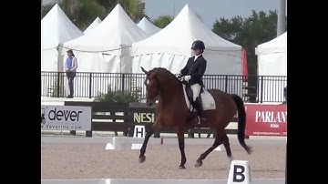 Equestrian Tips-Improve Your Dressage!  3 Loop Serpentines