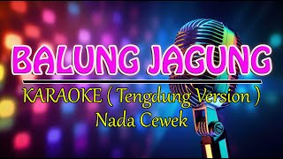 BALUNG JAGUNG @EEN CLAFINOVA ( KARAOKE CEWEK )