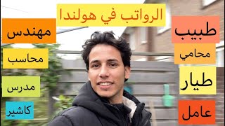 رواتب المهن المختلفه في هولندا كل شهر واعلي مهنه بتحصل علي راتب شهريا