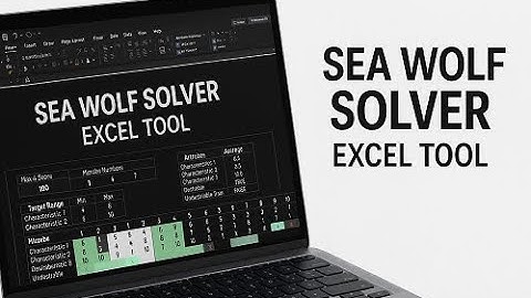 How to Use the Sea Wolf Excel Solver – McKinsey Solve Prep 2025