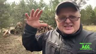 Ніжиловичі 📍Макарівська ОТГ Крадений ліс ховають просто в самосії !!!