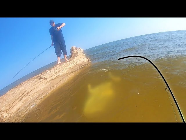 ONCE IN A LIFETIME CATCH from the BEACH!!! 