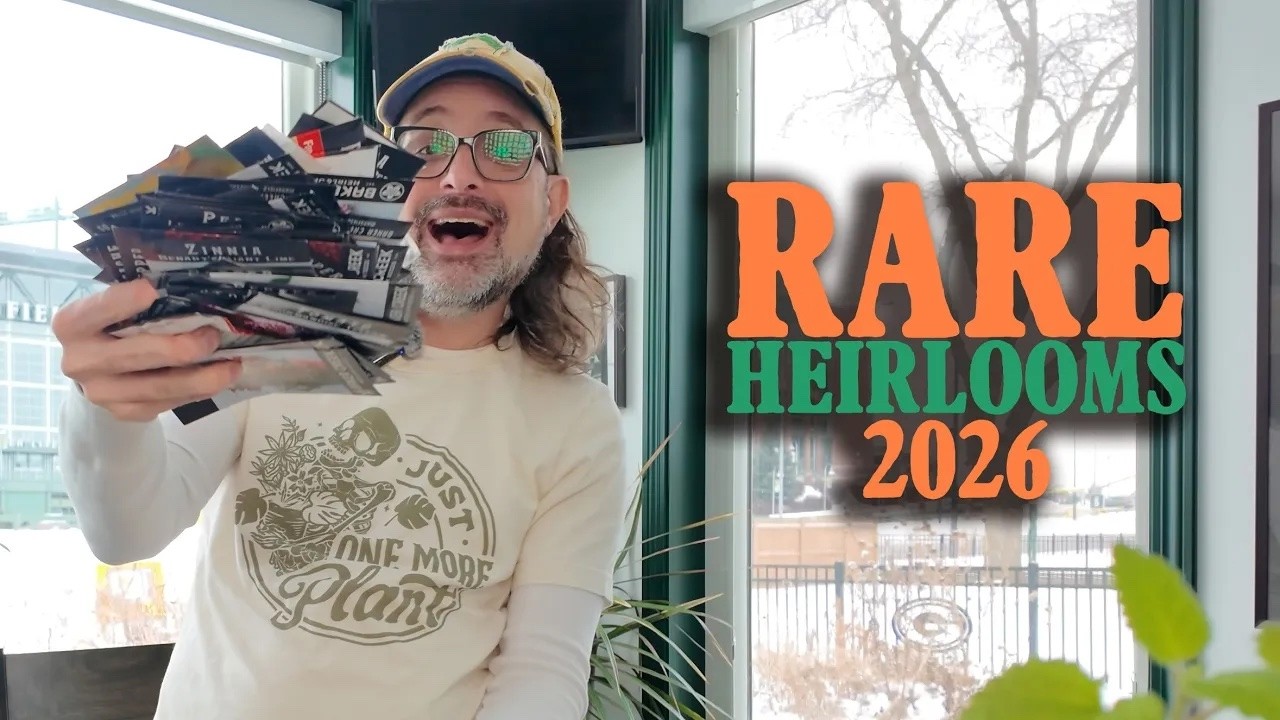 I Bought Too Many Rare Heirloom Seeds 🌱