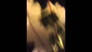 ADELE EXPOSED!!!!!! Wealth