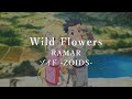 ZOIDS: Chaotic Century Opening Full - Wild Flowers - RAMAR【ENG Sub】