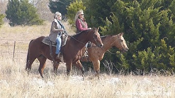 A Western Joy Ride and Hotshot Invitation - trail riding! - ValleyViewRanch.net