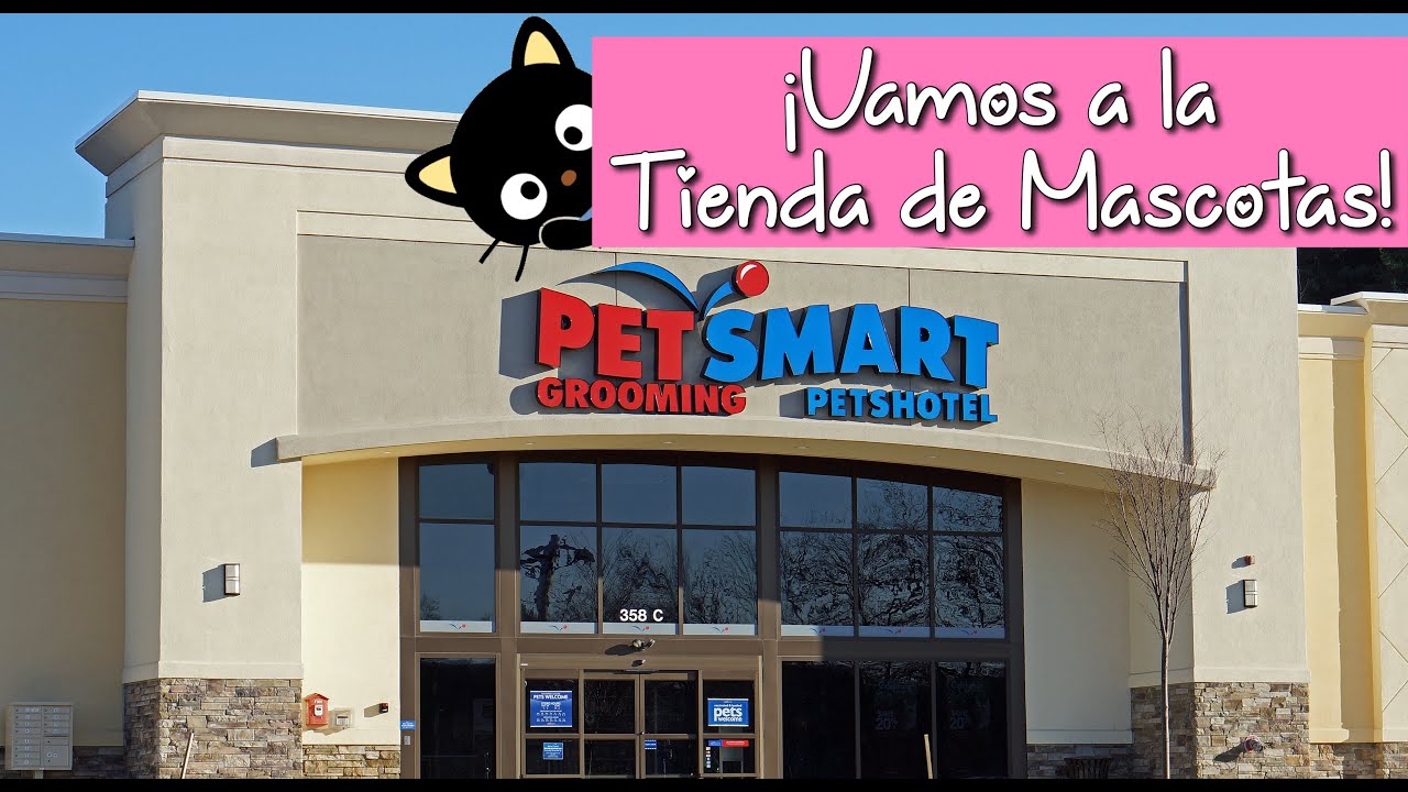 Vamos a la Tienda de Mascotas! - YouTube