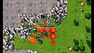 Tibia  pk selena