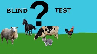 BLIND TEST ANIMAUX (26 cris avec réponses et noms, niveau enfant) screenshot 1
