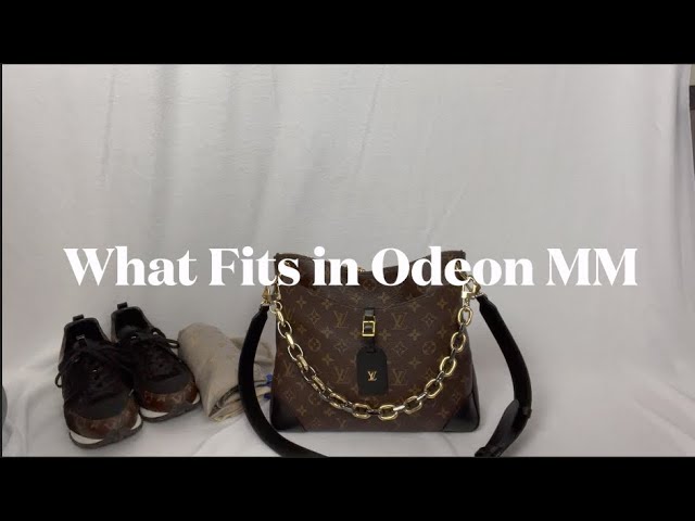 Bag Organizer for Louis Vuitton Odeon PM (Old Model) (Zoomoni/20