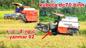 XEM BỘ HAI MÁY CẮT LÚA KUBOTA DC 70 BINH CHẠY ĐẤT HÈ THU amazing video new