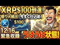 【12/16緊急】もう耐えなくていい。今日、XRPの歴史が変わる。「銀行免許」の衝撃と320円突破のシナリオ【リップラー逆襲】