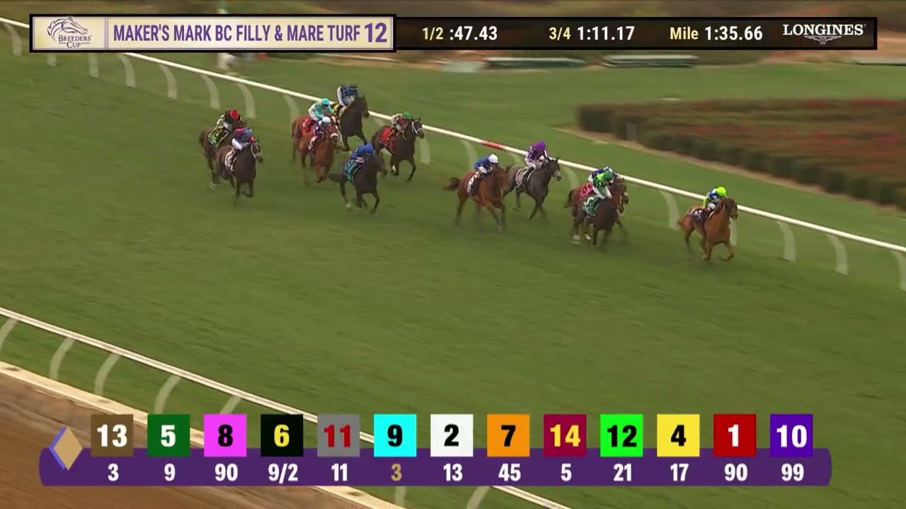 Гезора (Франция) побеждает в гонке BC Filly & Mare Turf G.I. 12 в Дел Маре 1 ноября 2025 года.