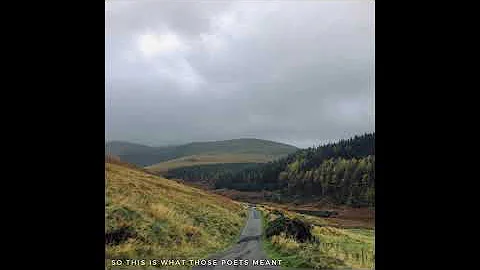 Thomas Rees - So This Is What Those Poets Meant (f...