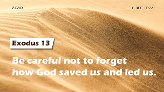 【Exodus 13】Be careful not to forget how God saved us and led us. ｜ACAD Bible Reading