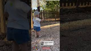 Fedez Ma Dove Va Vitto.. Chiara Ferragni Leo Ferragnez