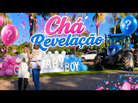 Chá revelação Agro Baby - Teo ou Eloá