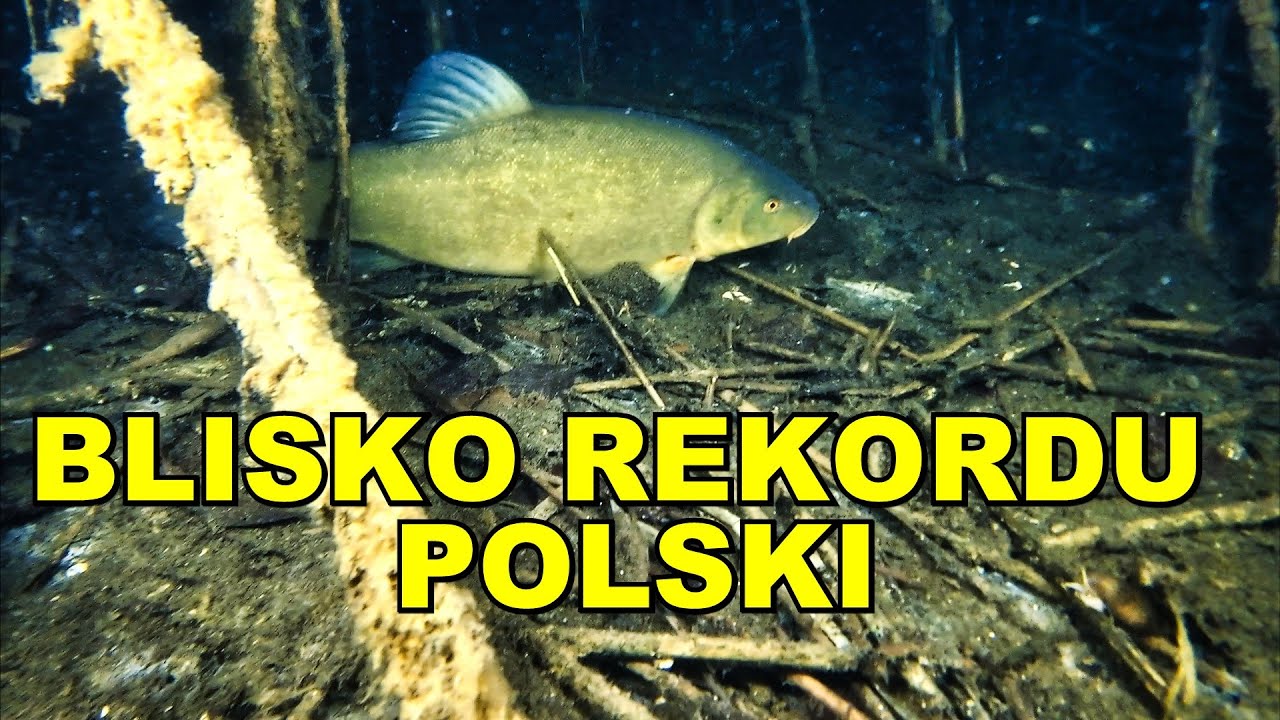 NURKOWANIE 11,05,2024  LIN BLISKO REKORDU POLSKI !!!! JEZIORO CHŁOP