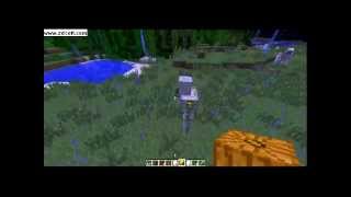 Minecraft : Dois Mobs que você não sabia que existia