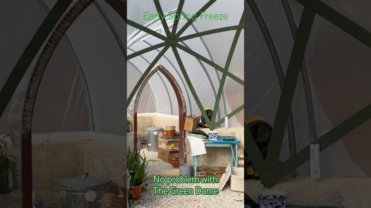Garden dome provided about a 30 degree difference in temperature during it’s first freeze.