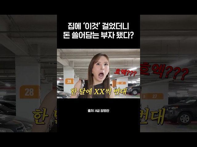 장영란 절친의 부자되는 풍수 인테리어