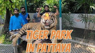 Tiger park pattaya | punjabi boys enjoying in thailand | thailand tour guide | punjabi molvi vlog