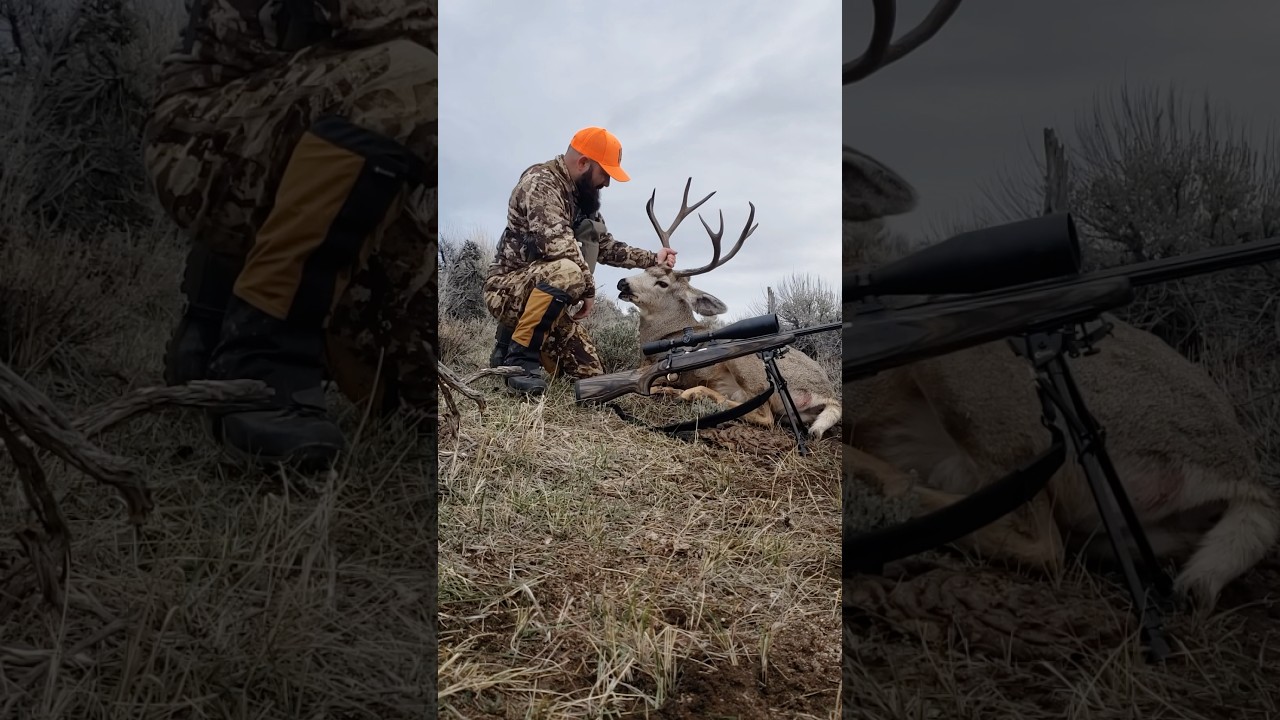 Browning .300 RUM 180 TTSX 3200 fps