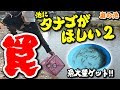 【庭の池】タナゴがほしい2 近所の池に罠を仕掛ける #70 2018.4.22