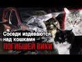 На кошек погибшей Вики  🆘 натравливают собак, а их кормилицу доводят до инсульта