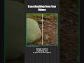 Remove Unwanted Objects from Videos with Runway AI | Easy Post-Production Fix