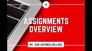 Canvas Assignments Overview