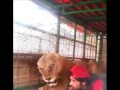 ابو قلب ميت ابو قلب ميت