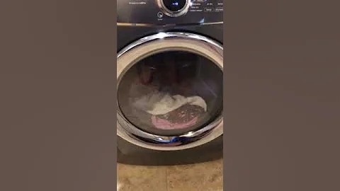 Electrolux Dryer Review