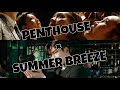 Penthouse  summer breeze