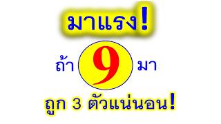 มาแรง!!..ถ้าเลขนี้มาจะถูก 3 ตัวแน่นอน!! งวด  16 พ.ค.69 ขอให้ทุกคนโชคดีเฮงๆรวยๆ