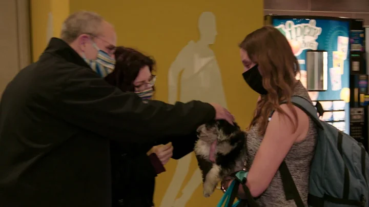 Why This Couple Paid Thousands for a Puppy