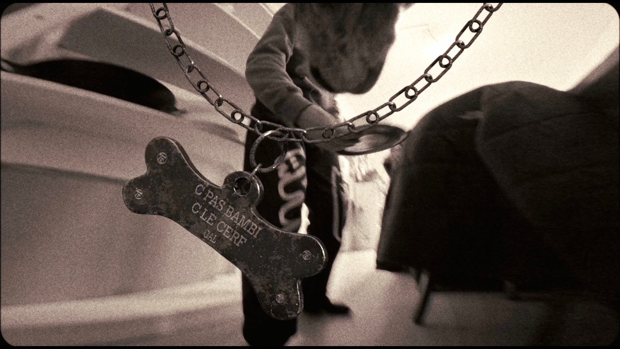 Regardez GAL - C PAS BAMBI C LE CERF (EP dispo) sur YouTube Regardez GAL - C PAS BAMBI C LE CERF (EP dispo) sur YouTube