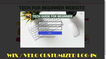 Custumize Log-in wix / velo