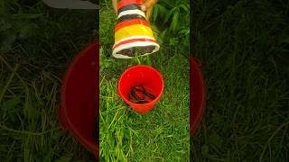 New best unique fishing technique in rainy water #fish #fishing #reels #video #shorts