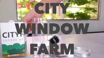 Step By Step Guide: City Window Farm
