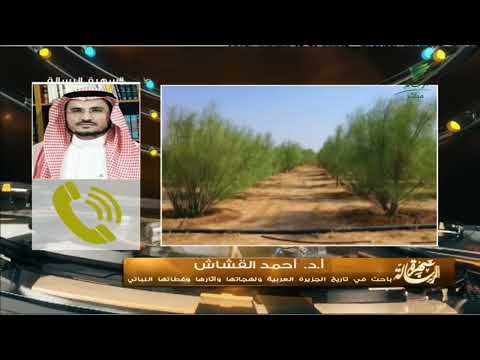 فيديو: مواقع مقدسة في جنوب شرق آسيا