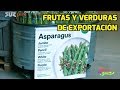 Frutas y verduras de exportación