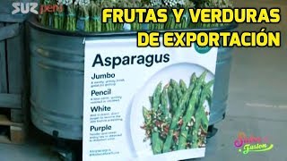 Frutas y verduras de exportación