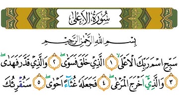 Surah Al A'la  سورة الأعلى Muhammad Taha Al Junyd  Surah:87 Juz:30